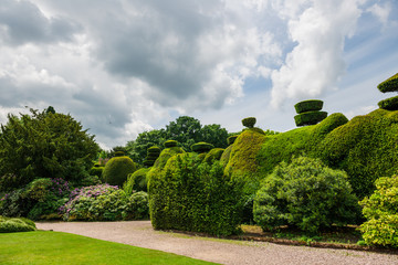 English Public Garden in Summer