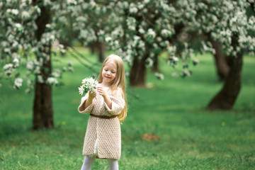 Little girl is walking in an apple garden