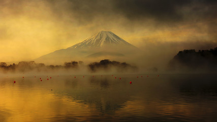 Mount Fuji at sunrise in Lake Shoji