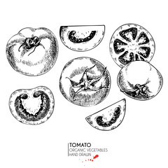 Vector hand drawn set of farm vegetables. Isolated whole tomato. Engraved art. Organic sketched vegetarian objects. - 158606970