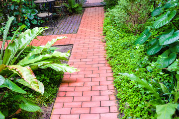 Garden pathway with park bench green lawn