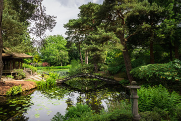 Fototapeta na wymiar English Public Garden in Summer