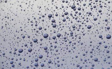 ワックスが効いたボンネットの上に雨の水滴