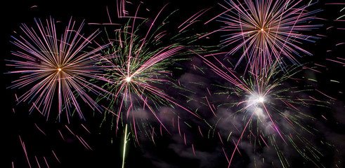 Beautiful fireworks illuminate the sky_15