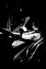 Fototapeta na wymiar eastern iguana - black and white animals portraits