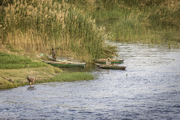 Nile River Cruise