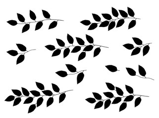 set of black tree branches with leaves