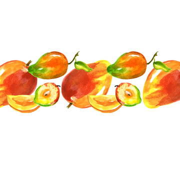 Watercolor line, border, element from the picture of mango fruit. Slice, fruit, fruit for design. On isolated white background. Vintage and possible pattern