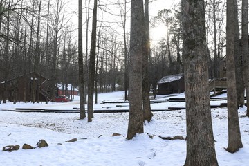 Snow through the trees