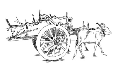Hand drawn sketch of Bullock cart in vector sketch. © dhanu3182