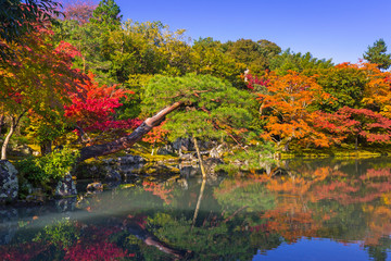 Autumn at the lake of tenryu-ji temple in Arashiyama, Japan