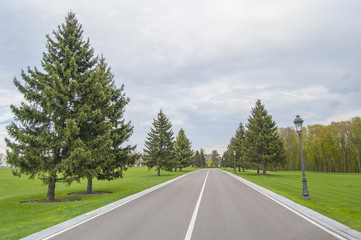 Fototapeta premium Long asphalt road. Forest, lawn and grey sky, landscape background. Spring or summer. 