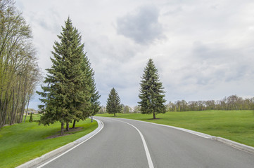Naklejka premium Long asphalt road. Forest, lawn and grey sky, landscape background. Spring or summer. 