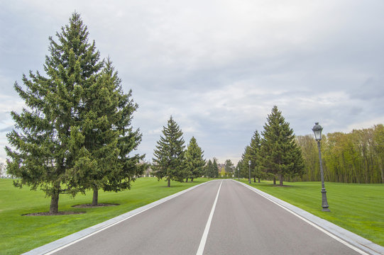 Long asphalt road. Forest, lawn and grey sky, landscape background. Spring or summer. 