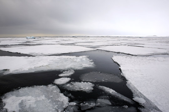 Ice-floes and Water, outside Spitsbergen. Svalbard, Norway