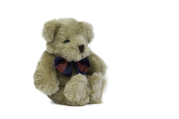 teddy bear sitting isolated on white background