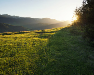 Field and forest during sunset. Beautiful natural landscape in the summer time