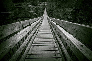Fototapeta premium Bridge