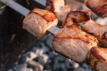 grilled meat on skewers and grill