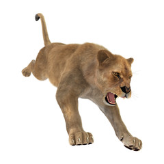 3D Rendering Female Lion on White