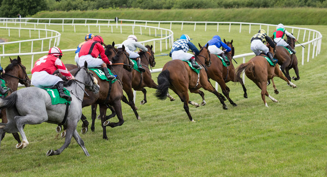 Horse race taking the final turn towards the finish line