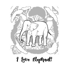 Elephant print