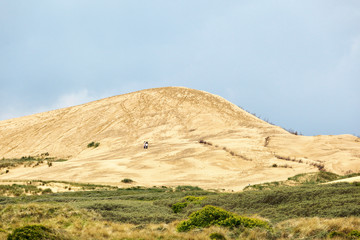 Rolling sand dune