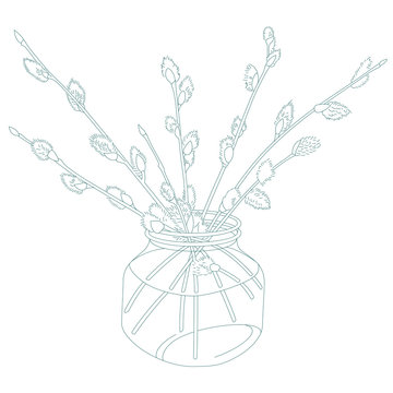 willow branches
