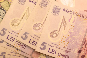 Close up Romanian currency note, LEI or LEU, Romania