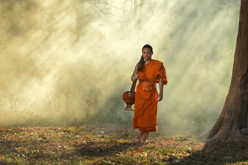 The monk walks in the park, a monk, a monk, meditates under a monk tree.