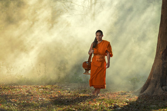 The monk walks in the park, a monk, a monk, meditates under a monk tree.