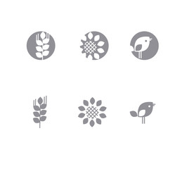 Natural concept modern simple icons: proteins, fats, carbohydrates. sunflower floral, birds and wheat grains.