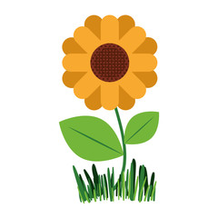 white background with abstract sunflower plant in closeup vector illustration
