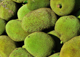 ripe jackfruits for sell