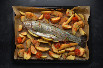 Roasted trout with potatoes in herbs.