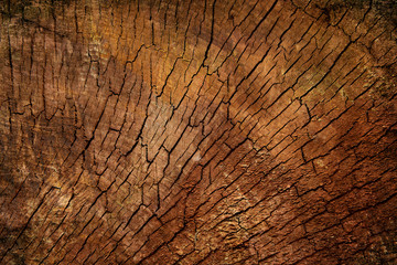 Wood texture