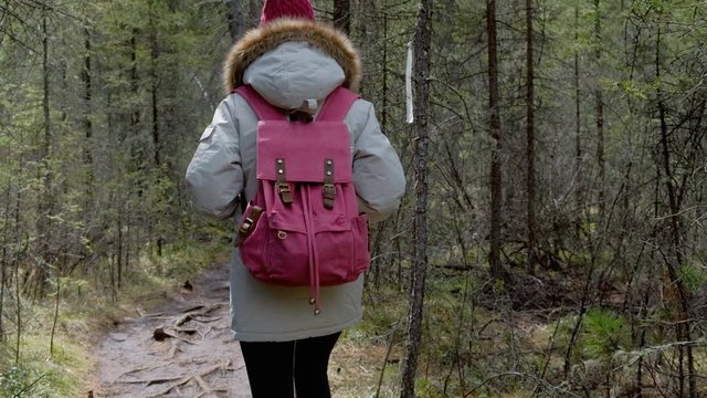 A female in a gray park is walking along a trail with backpack in a dense coniferous forest close-up 4k.