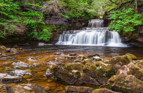 Fototapeta Cotterdale Beck flows over Cotter Force / Cotter Force is a waterfall on Cotterdale Beck, a minor tributary of the River Ure, near the mouth of Cotterdale, a side dale in Wensleydale, North Yorkshire