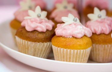 Small cupcakes