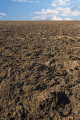 Plowed field landscape