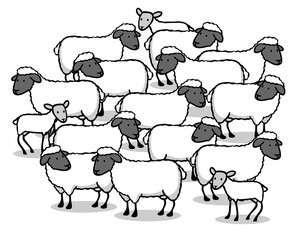 Viele Schafe und Lämmer als Schafherde