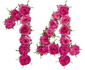 Arabic numeral 14, fourteen, from red flowers of rose, isolated on white background