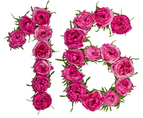 Arabic numeral 16, sixteen, from red flowers of rose, isolated on white background