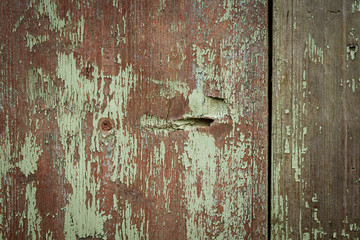 a piece of old wooden wall with twig