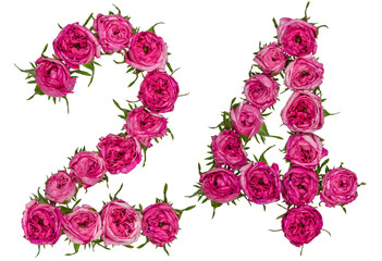 Arabic numeral 24, twenty four, from red flowers of rose, isolated on white background