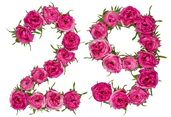 Arabisch cijfer 29, negenentwintig, van rode bloemen van roos, geïsoleerd op een witte achtergrond