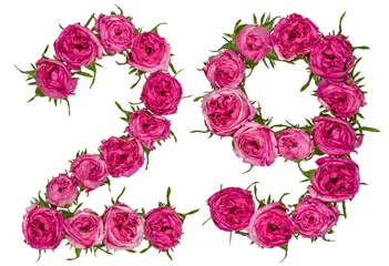 Naadloos Behang Airtex Bloemen Arabisch cijfer 29, negenentwintig, van rode bloemen van roos, geïsoleerd op een witte achtergrond