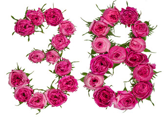 Arabic numeral 38, thirty eight, from red flowers of rose, isolated on white background