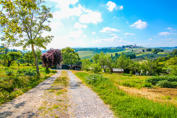 Fototapeta na wymiar Beautiful landscape in Tuscany, Italy