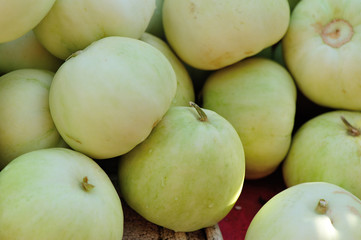 Honeydew Melon selling at agriculture fair